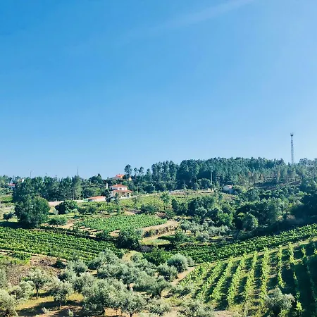 Do Pinhal Пруэнса-а-Нова