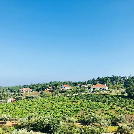 Do Pinhal Гостевой дом Пруэнса-а-Нова