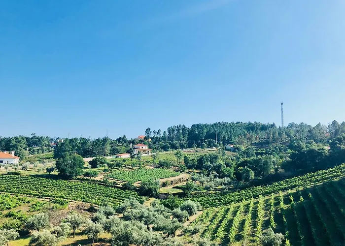 Do Pinhal Proença-a-Nova