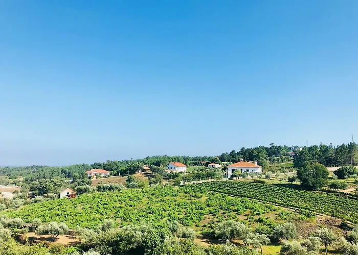 Do Pinhal Maison d'hôtes Proença-a-Nova